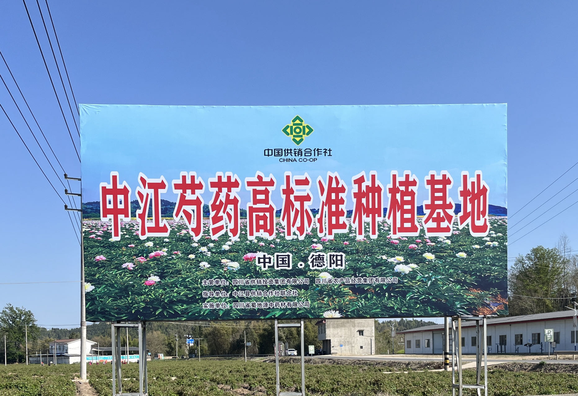 附件图片.jpg