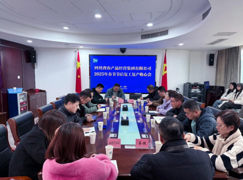 2025年春节节后复工复产收心及安全工作会议