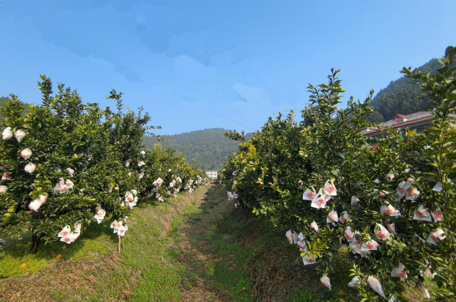 QQ20260319-164329.jpg QQ20260319-164329.jpg