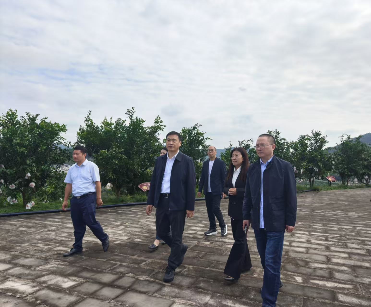 调研组深入基地实地察看 调研组深入基地实地察看